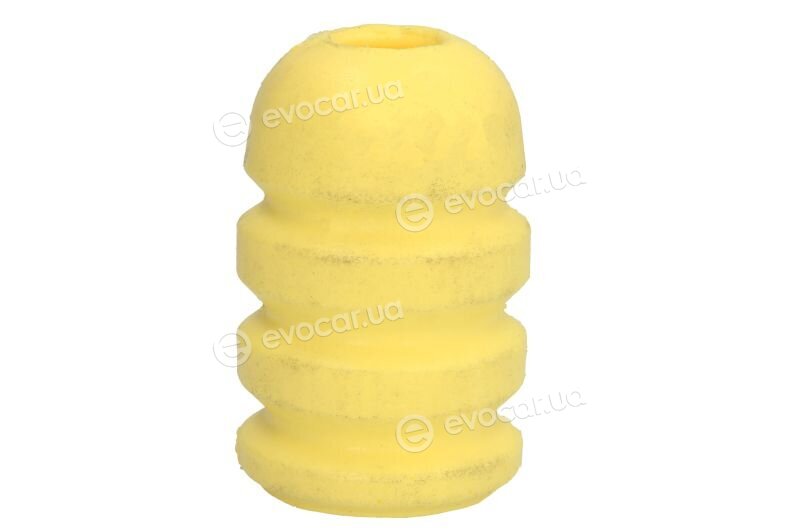 Tedgum TED85623