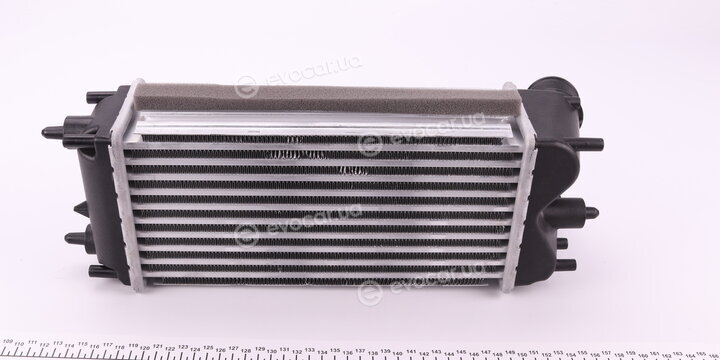 NRF 30979