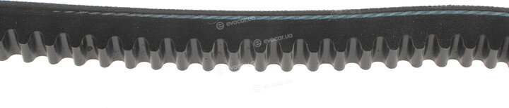 Hutchinson AV 13 La 1175