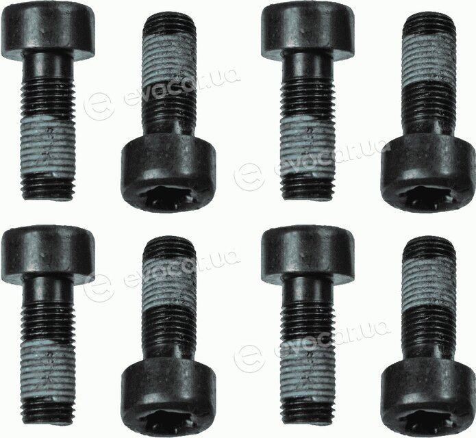 Sachs 1874 000 060