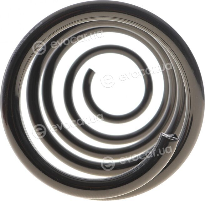 Solgy 212156