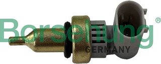 Borsehung B13487