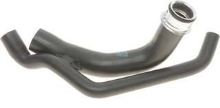 Solgy 112037
