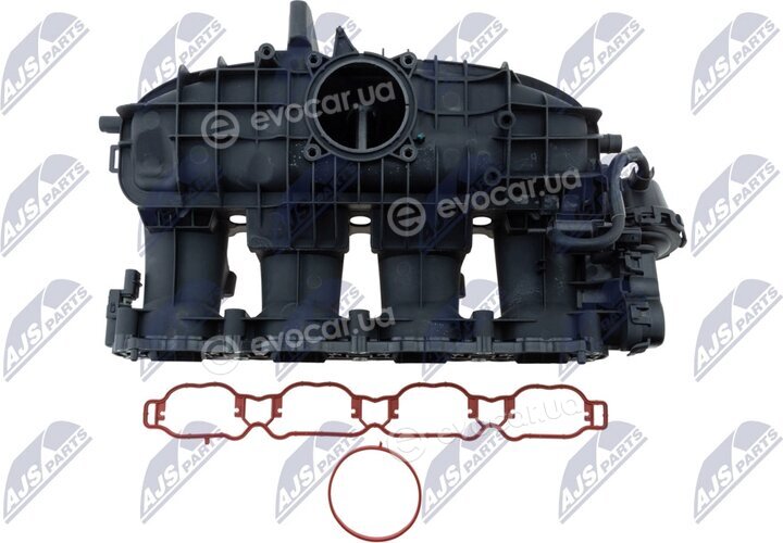NTY BKS-VW-031