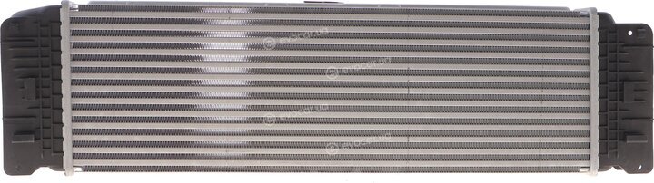 Solgy 112081
