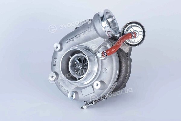 BorgWarner 56209880006