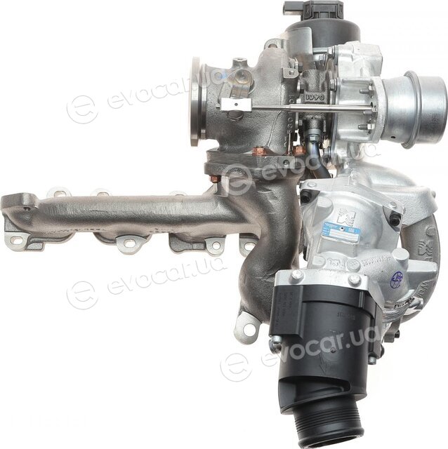 BorgWarner 10009880113