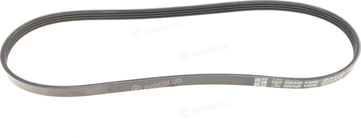 Dayco 4PK920