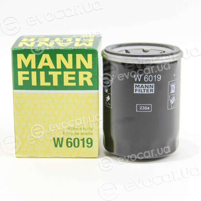 Mann W 6019