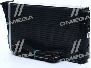AVA OL6196