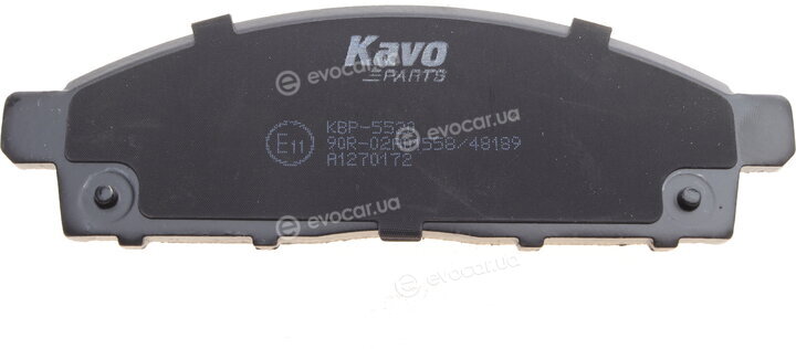 Kavo KBP-5520