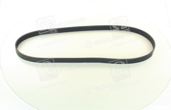 Continental 6PK1125