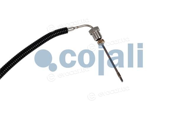 Cojali 2260881