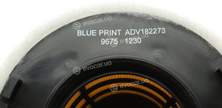 Blue Print ADV182273