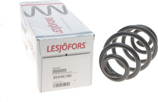 Lesjofors 4295042