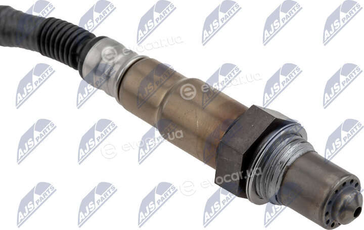 NTY ESL-BM-015
