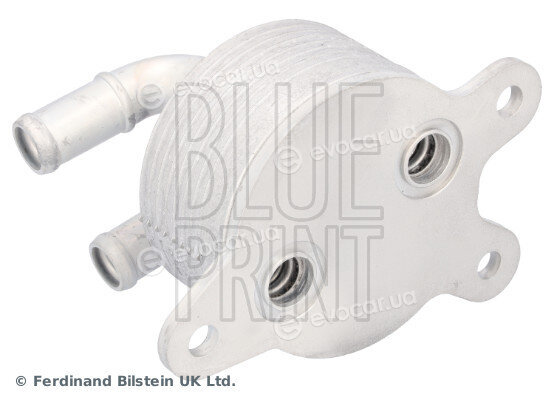 Blue Print ADBP610010