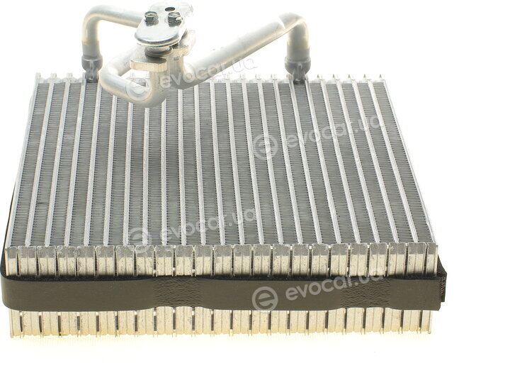 NRF 36109