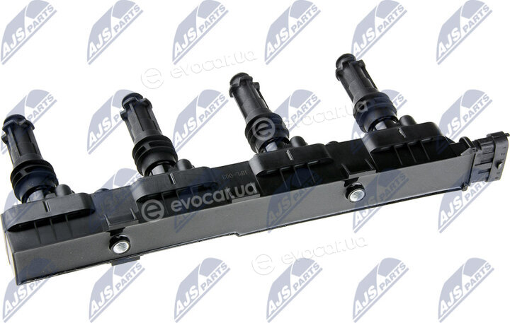 NTY ECZ-PL-003