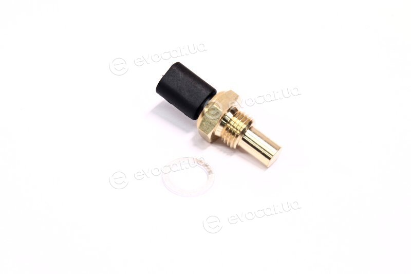 Magneti Marelli 171916011810