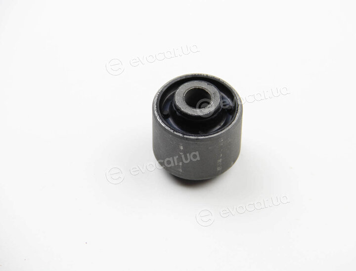 BC Guma 0262