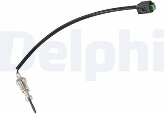 Delphi TS30042