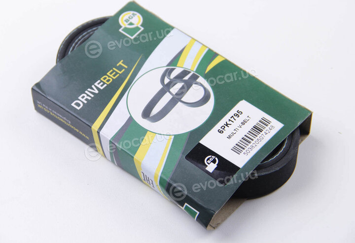 BGA 6PK1795