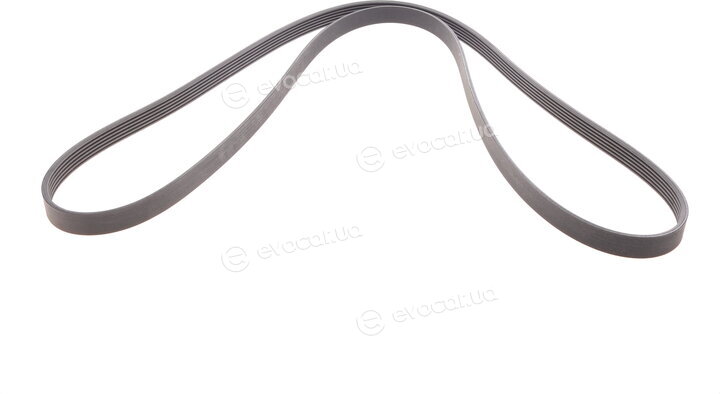 Continental 6PK2115