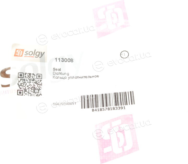Solgy 113008