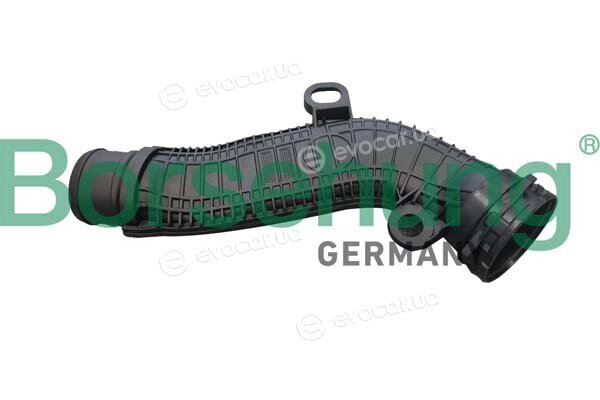 Borsehung B12348