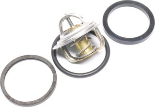 Mahle TX 1 79D