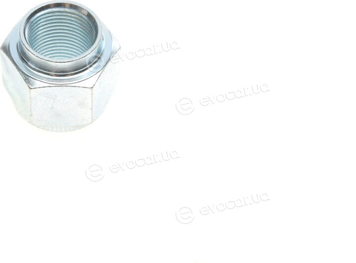 Solgy 216269