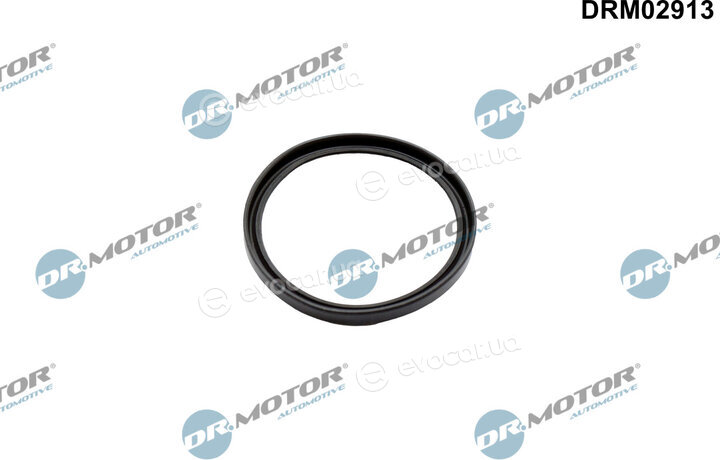 Dr. Motor DRM02913