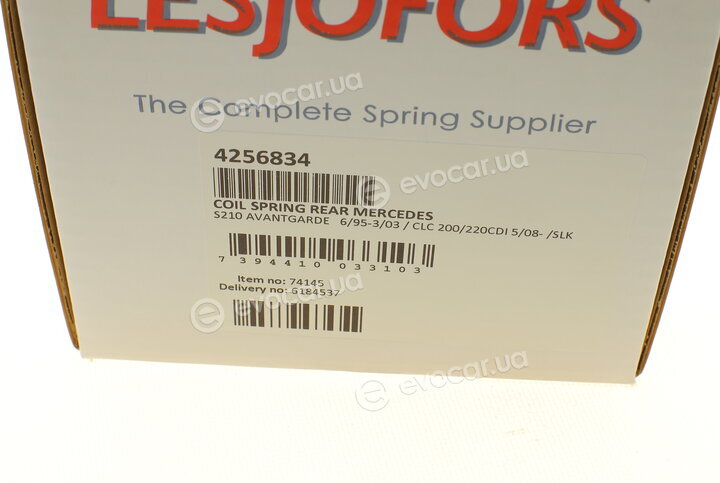 Lesjofors 4256834