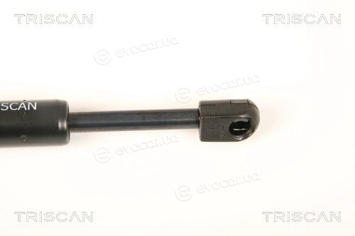 Triscan 8710 28105