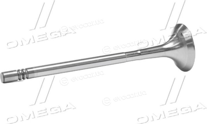 Gunes 7901
