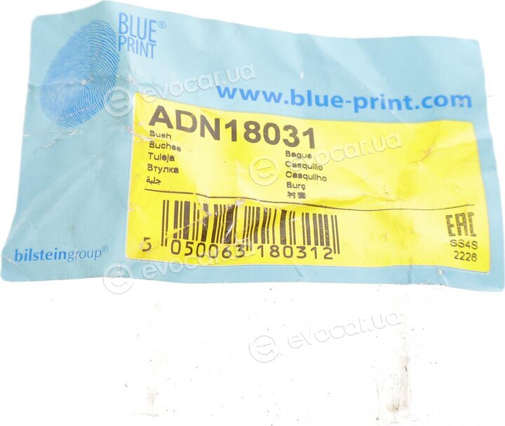 Blue Print ADN18031