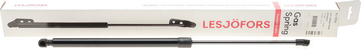 Lesjofors 8172978