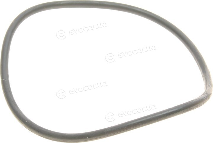 Mahle OX 161D