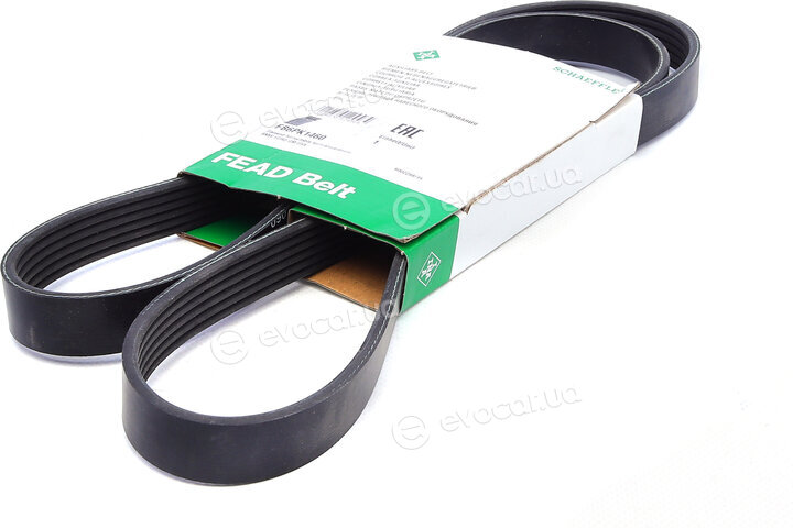 INA FB 6PK1460