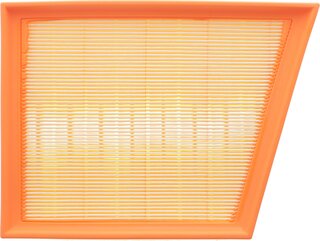 Hengst E1629L