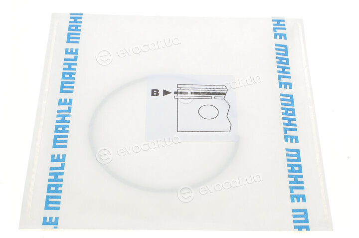 Mahle 009 88 N0
