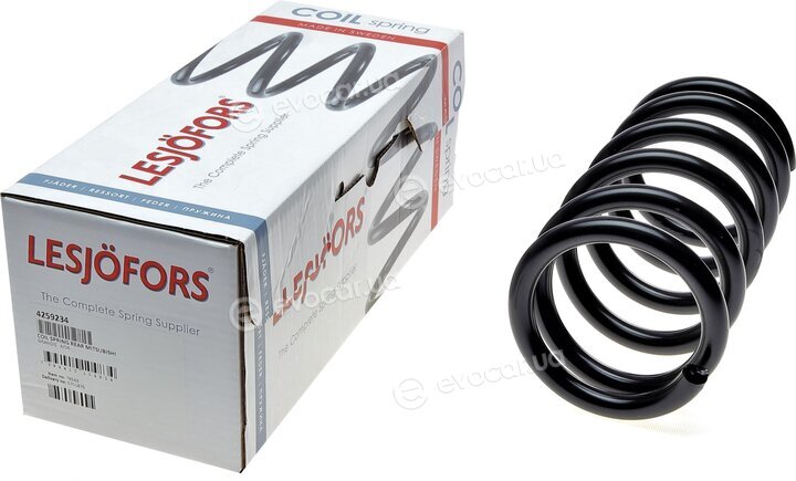 Lesjofors 4259234