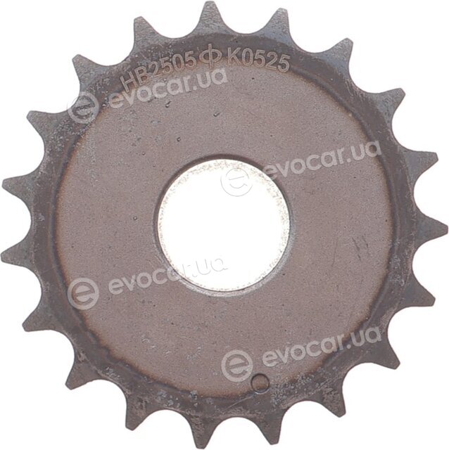 Motive TCK55