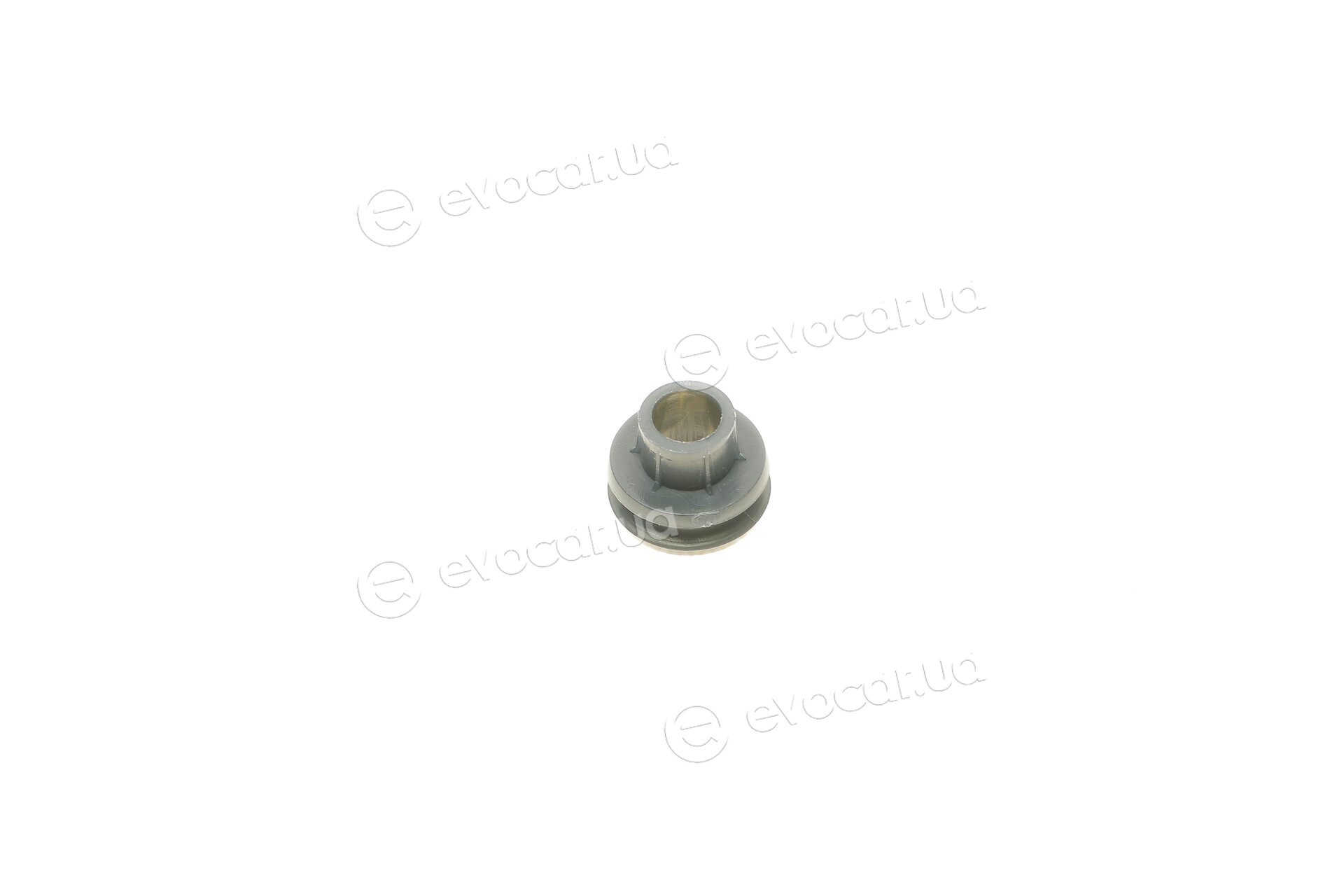 AIC 56906