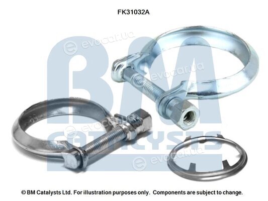 BM Catalysts FK31032
