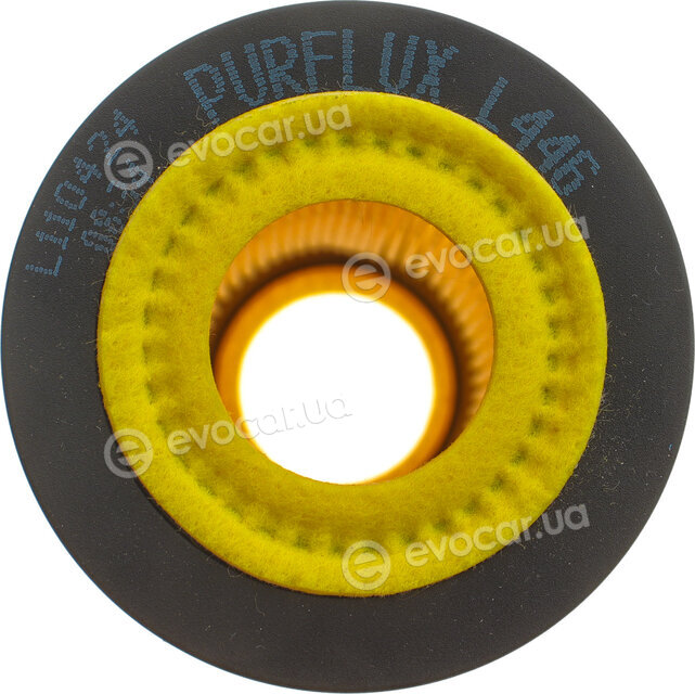 Purflux L446