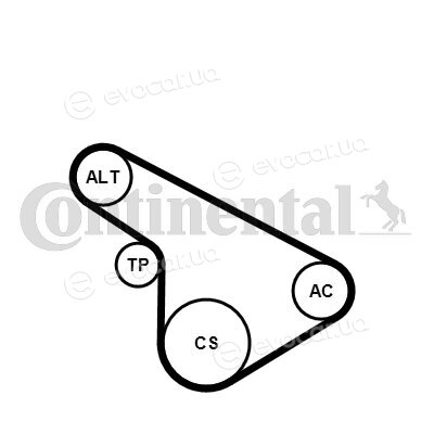 Continental 5PK1212K1
