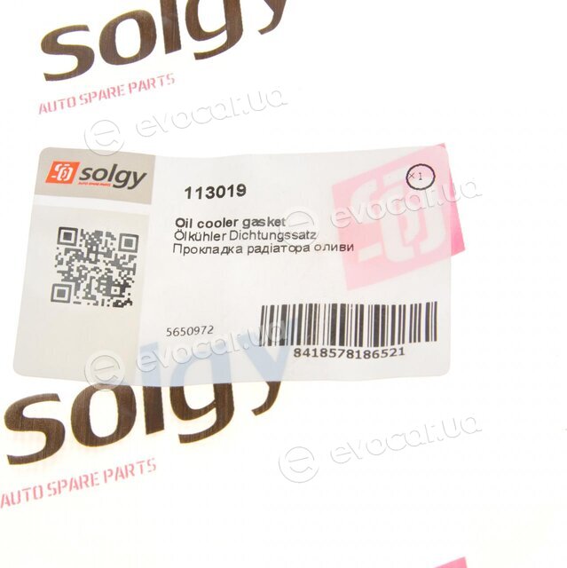 Solgy 113019