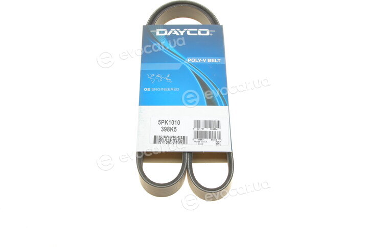 Dayco 5PK1010